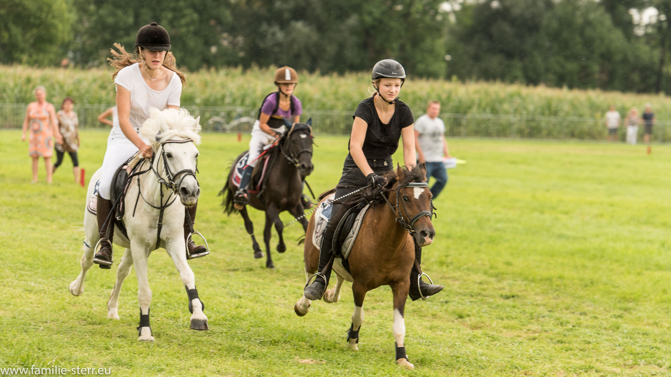 Trabrennen in Erding 2017